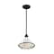 Nuvo Fixture, Pendant, 1-Light, Incandescent, 60W, 120V, A19, Medium Base 60/7023 - alternate 4